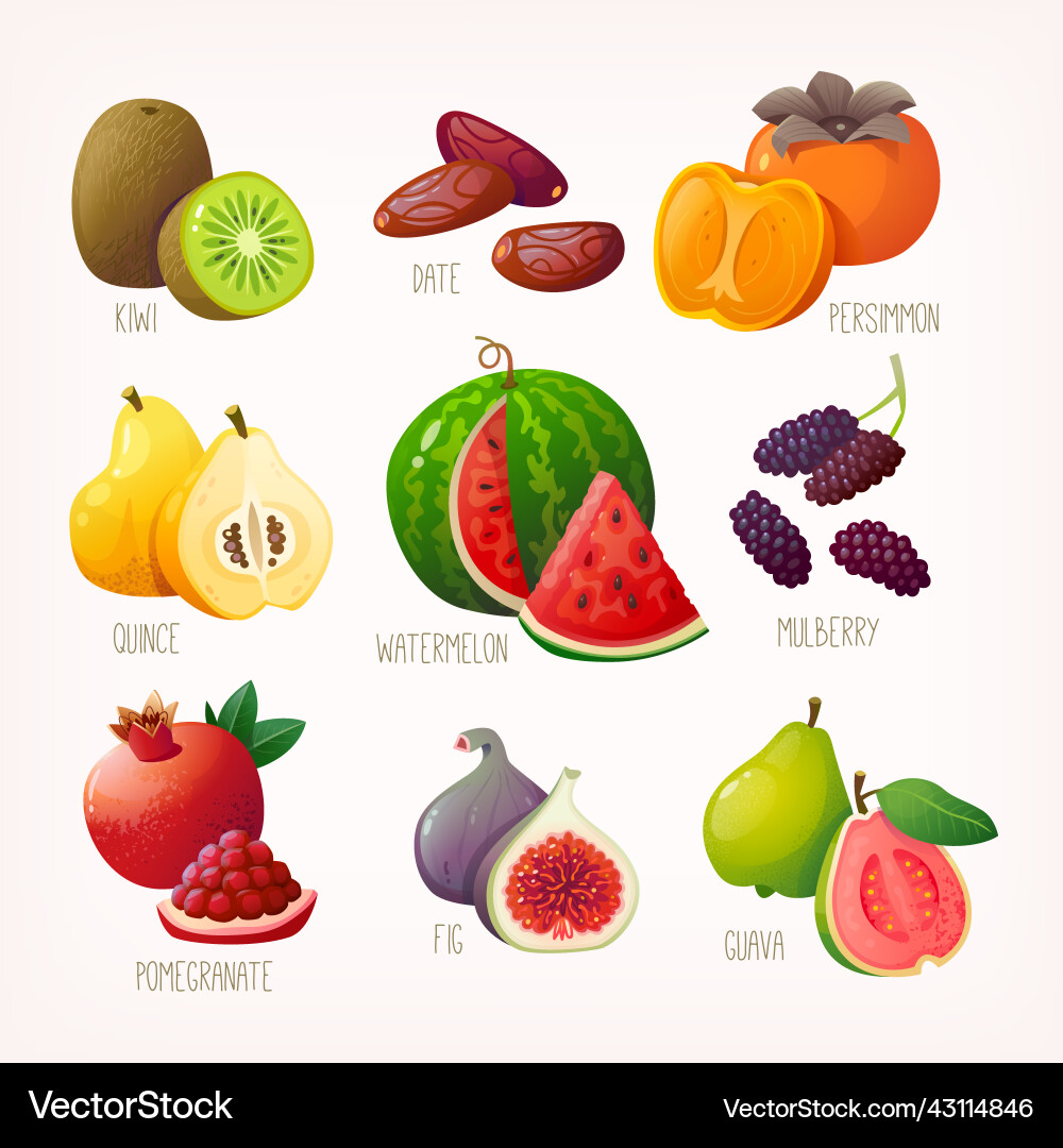 Set aus frischen tropischen Früchten und Beeren Set aus frischen tropischen Früchten und Beeren vektorbild