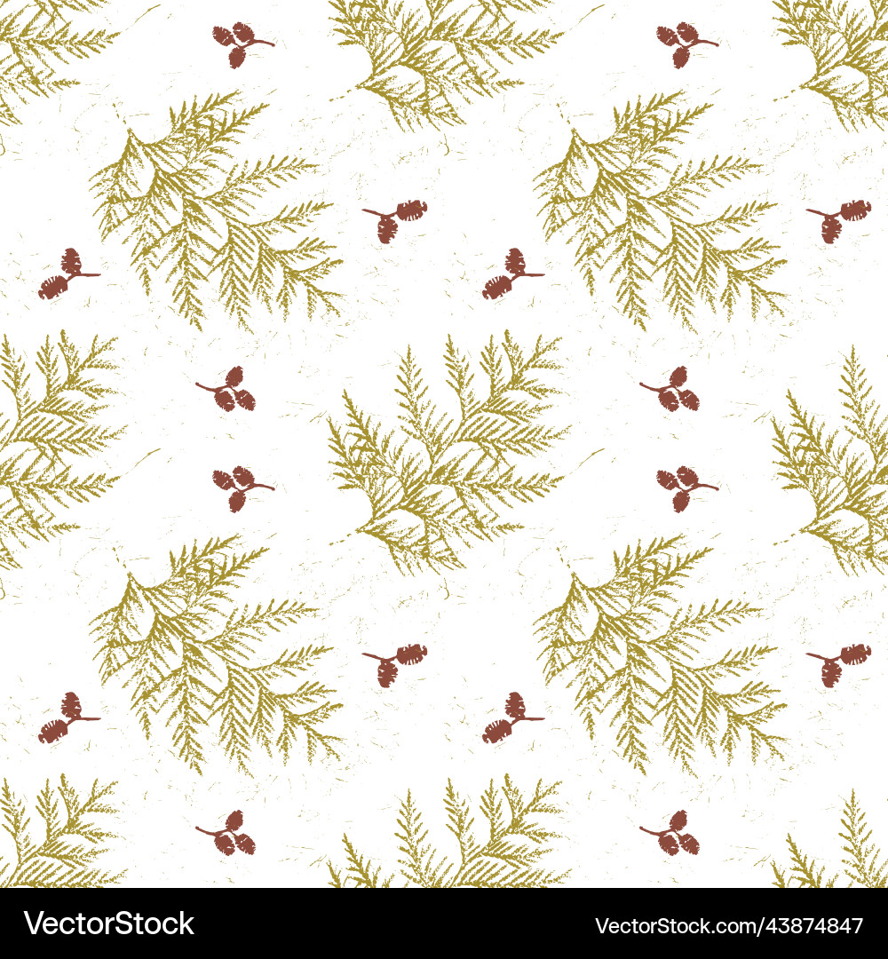 Spruce pattern vector image