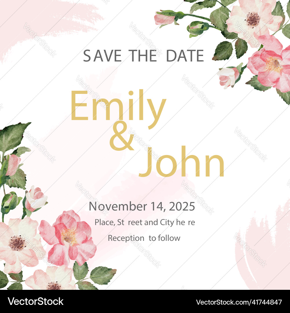 Watercolor english rose with golden luxury square Watercolor english rose with golden luxury square vector image