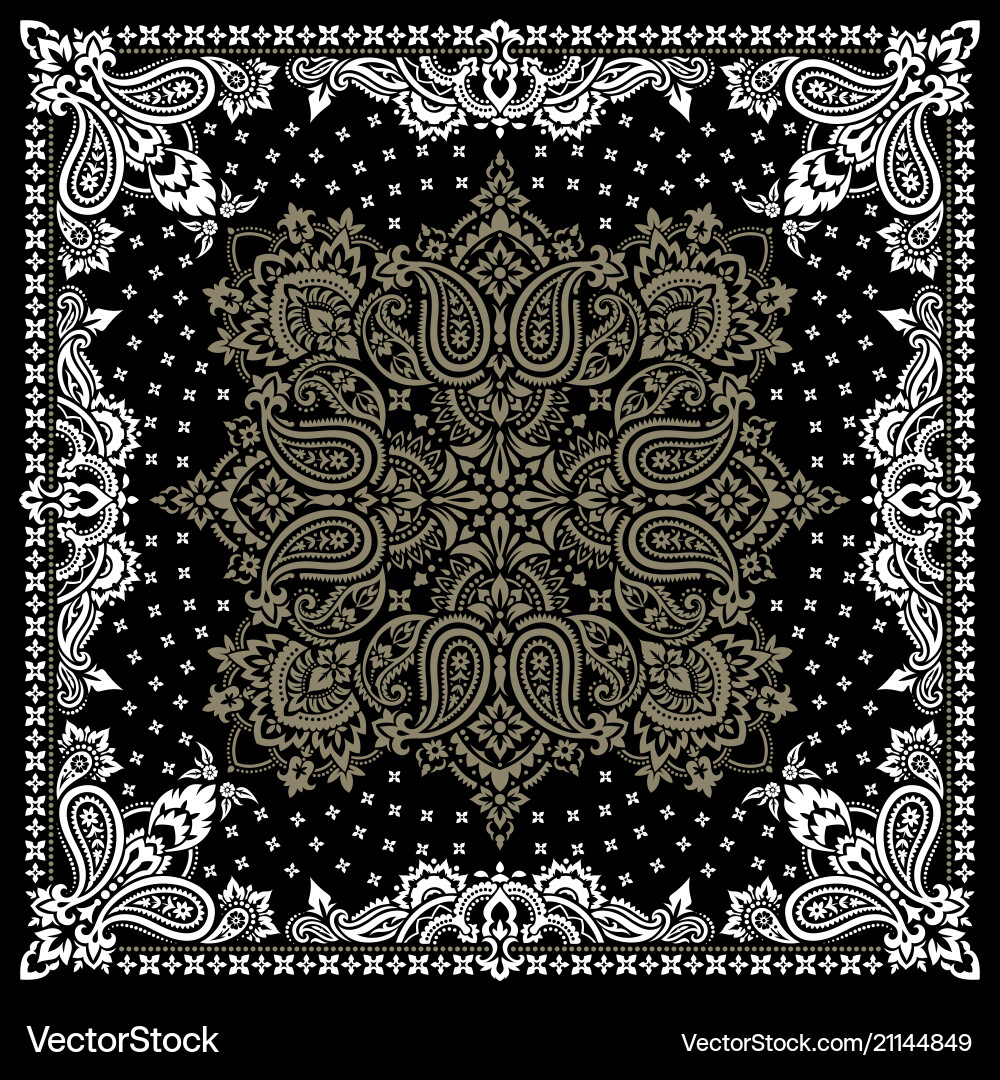 Paisley bandana print vector image