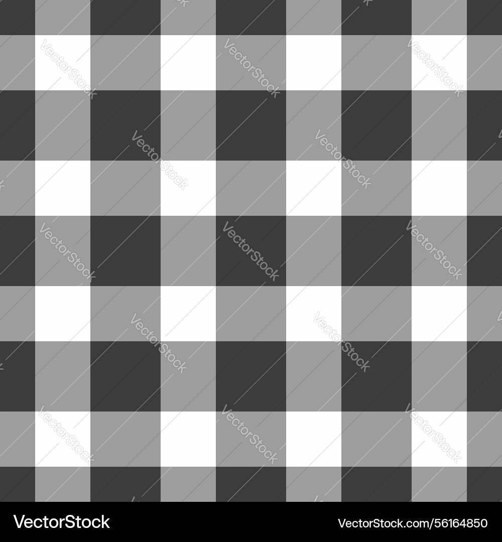 Elegant grayscale gingham pattern versatile Elegant grayscale gingham pattern versatile Vector Image