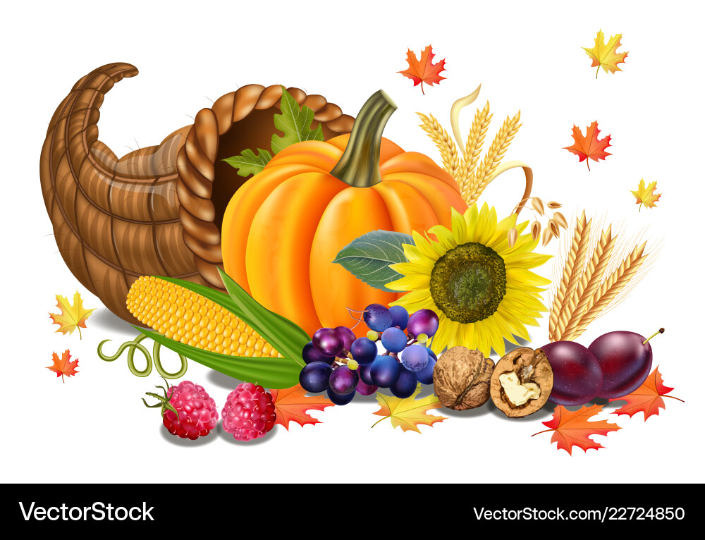 Fall harvest realistic pumpkin Fall harvest realistic pumpkin vector image