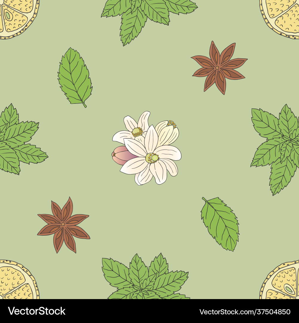 Graphic seamless pattern from tea collection 02 Vector Image