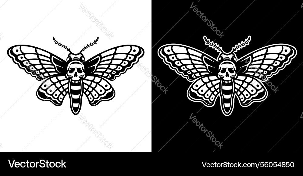 Moth tattoo gothic Moth tattoo gothic vector image