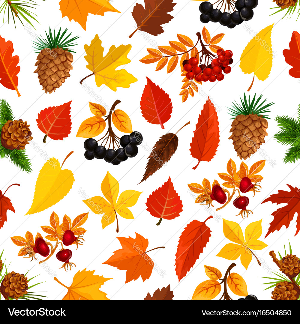 Seamless autumn pattern background of fall nature vector image