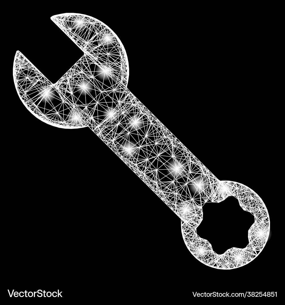Network spanner mesh with bright flash nodes Network spanner mesh with bright flash nodes Vector Image