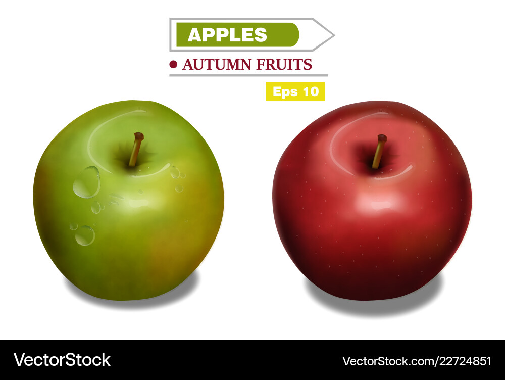 Realistic background red and green fruits Realistic background red and green fruits Vector Image