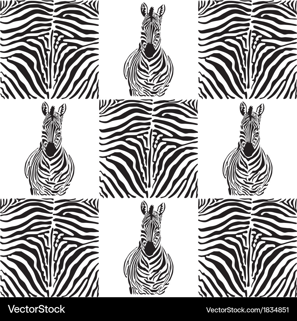 Zebra Pattern Textile vector image