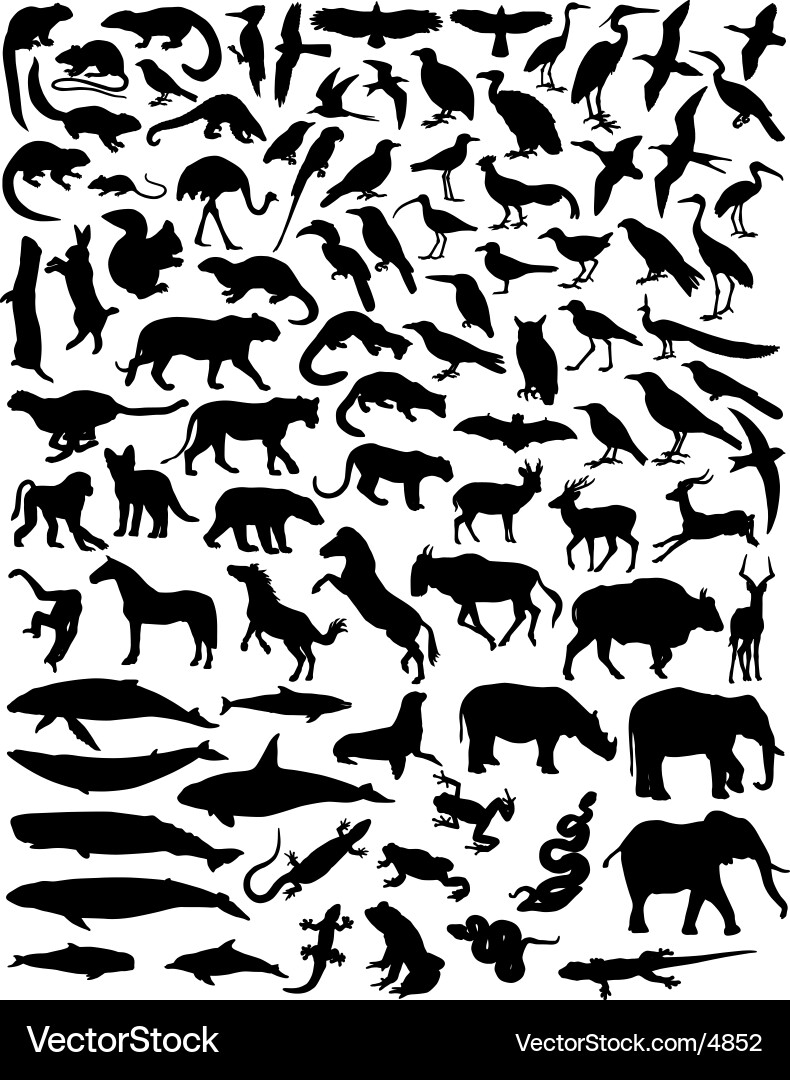 Animal Silhouettes Collection vector image