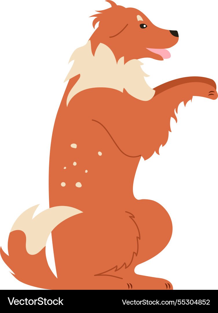 Charming of a collie dog sitting Charming of a collie dog sitting vector image
