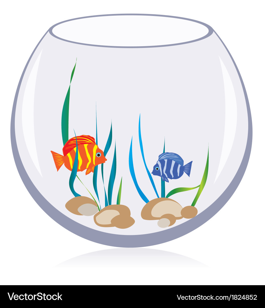 Fish aquarium vector image