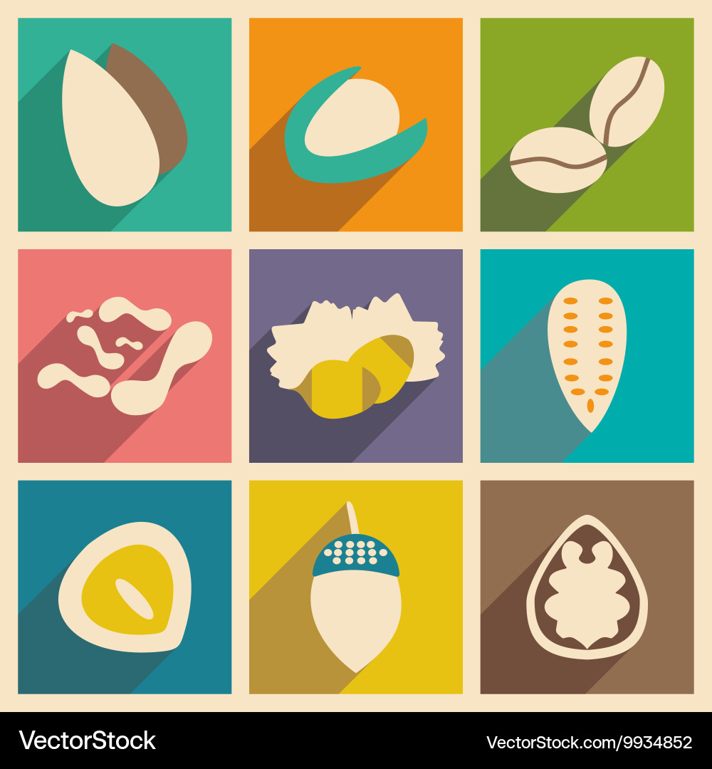 Flat with shadow concept and mobile application vector image