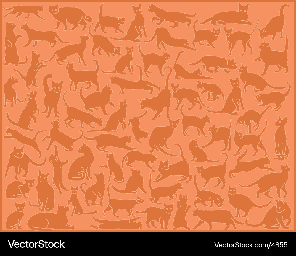 Cat background Vector Image