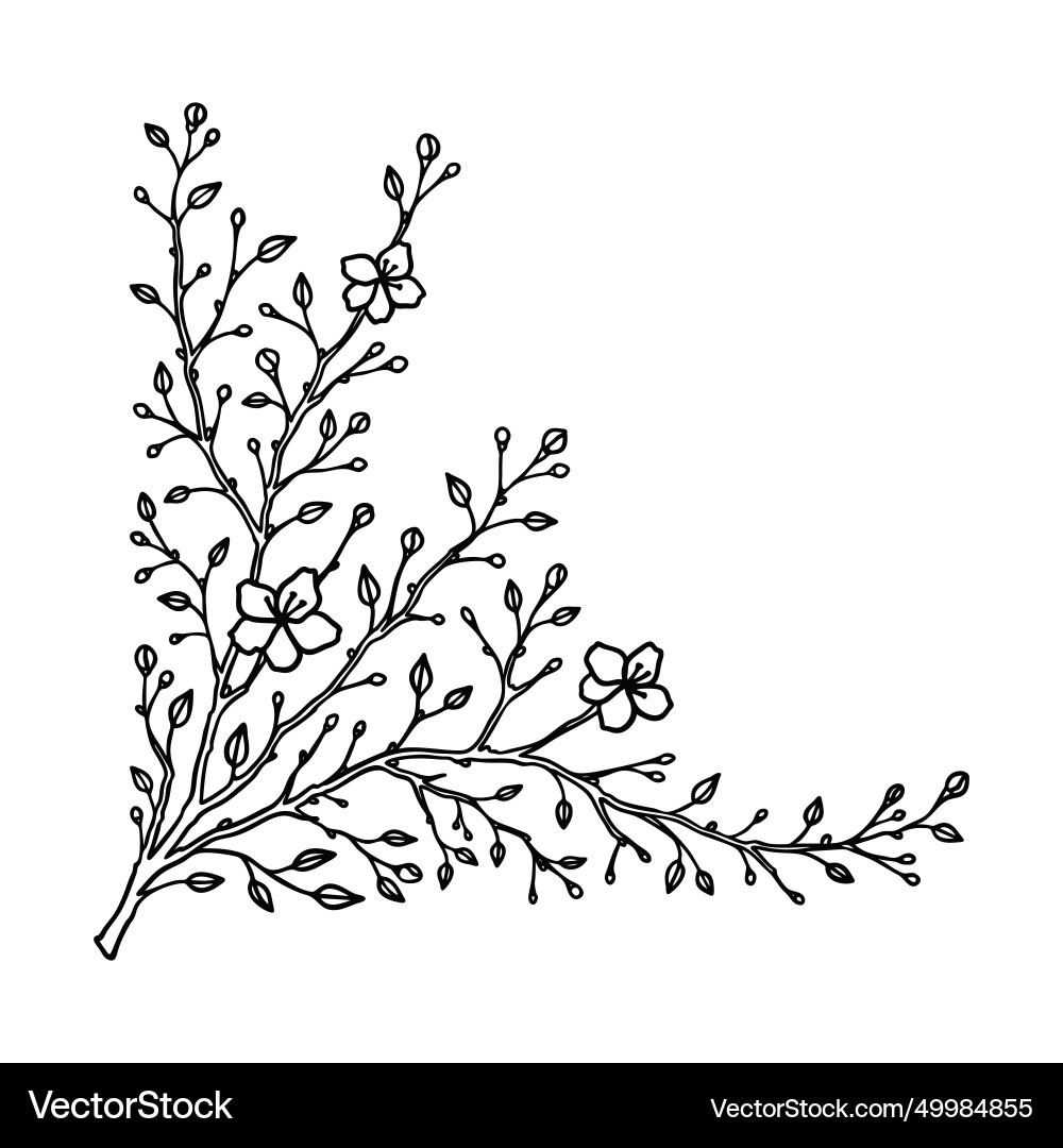 Hand drawn linear flowering spring branch minimal Hand drawn linear flowering spring branch minimal Vector Image