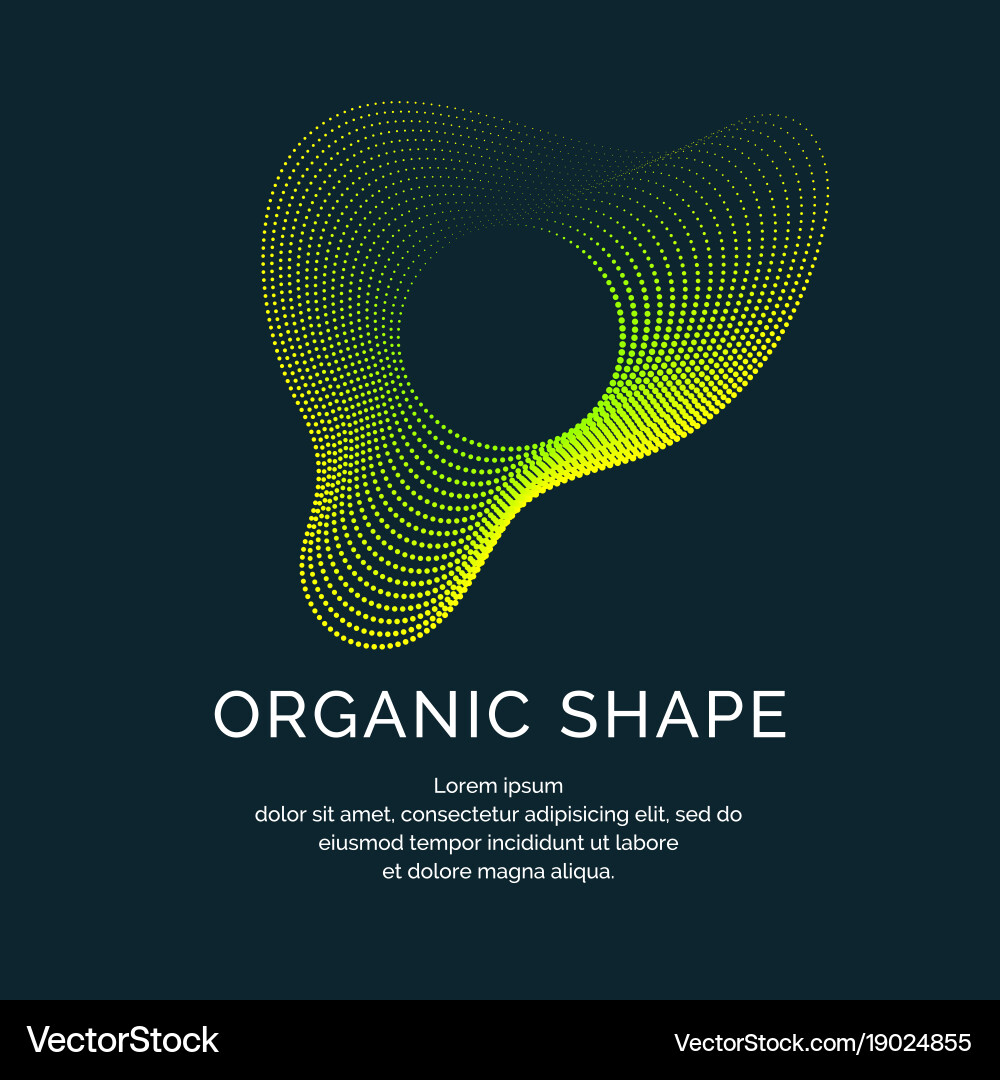Organic forms with dynamic waves and lines vector image