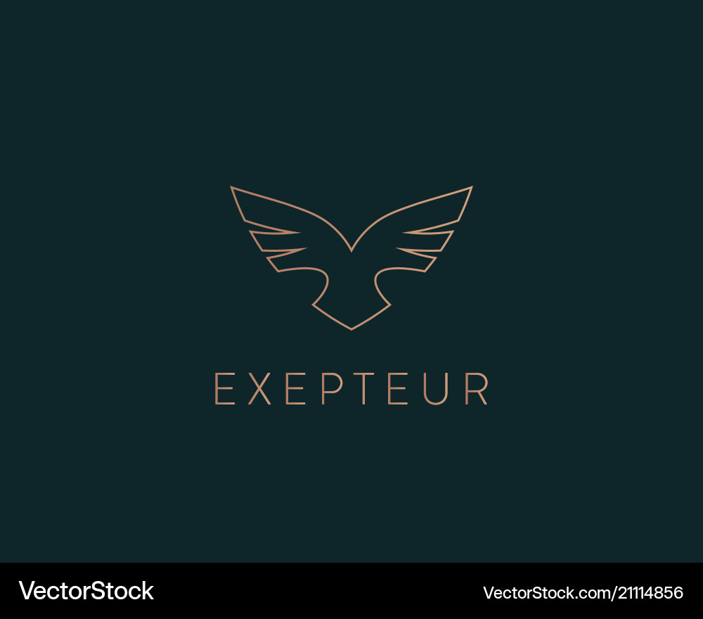 Abstract bird logo design creative eagle symbol Abstract bird logo design creative eagle symbol vector image