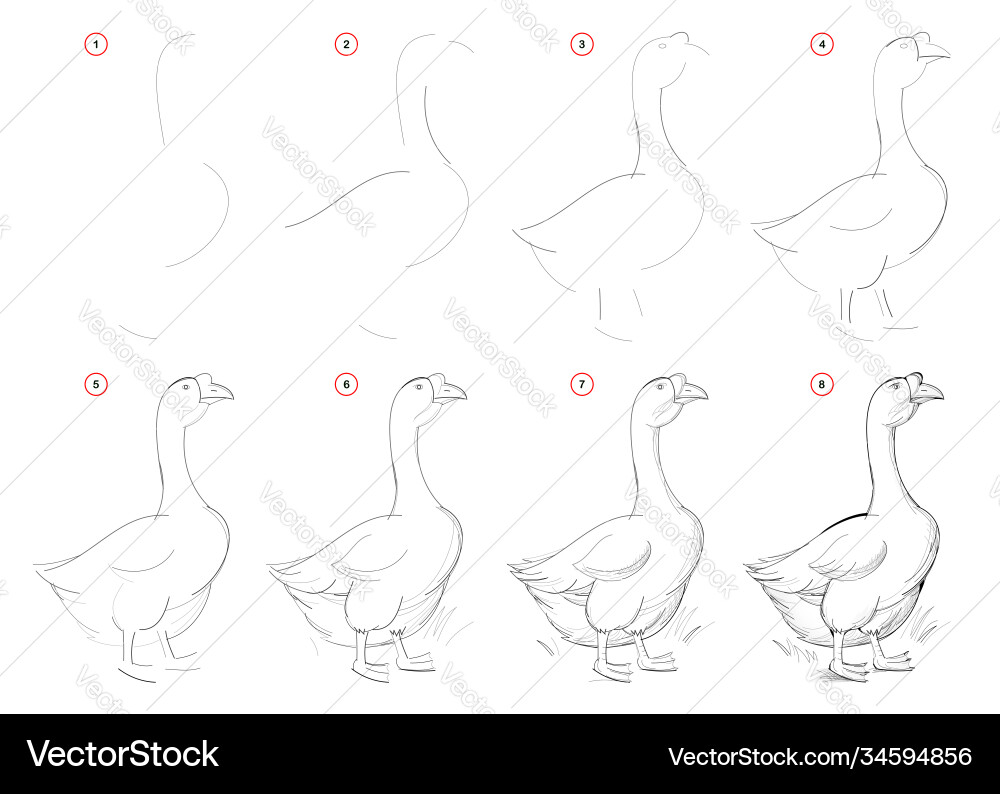 How to draw from nature step sketch Vector Image