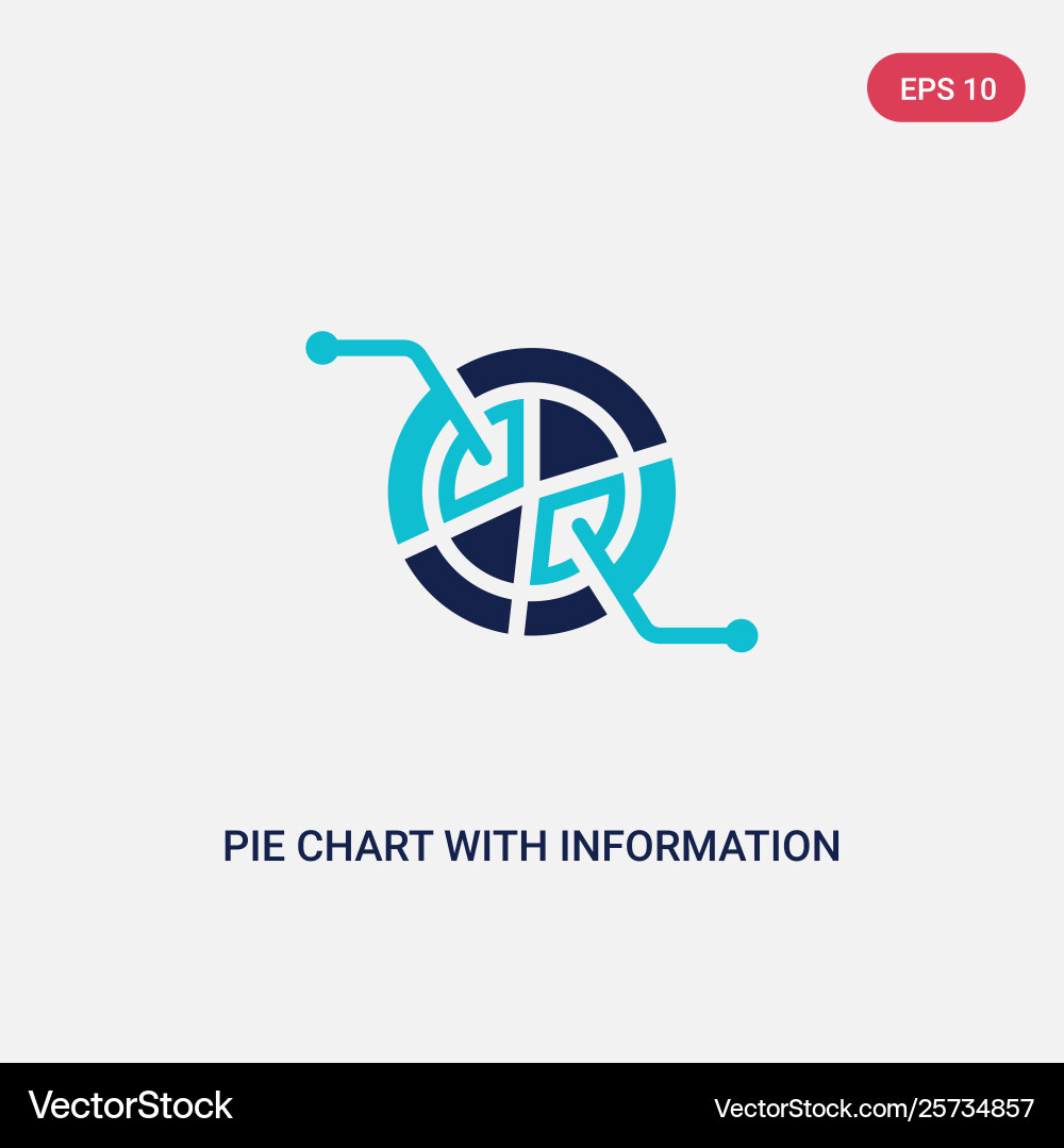 Two color pie chart with information icon from vector image