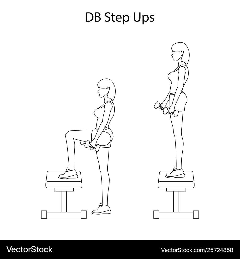 Db step ups exercise outline vector image