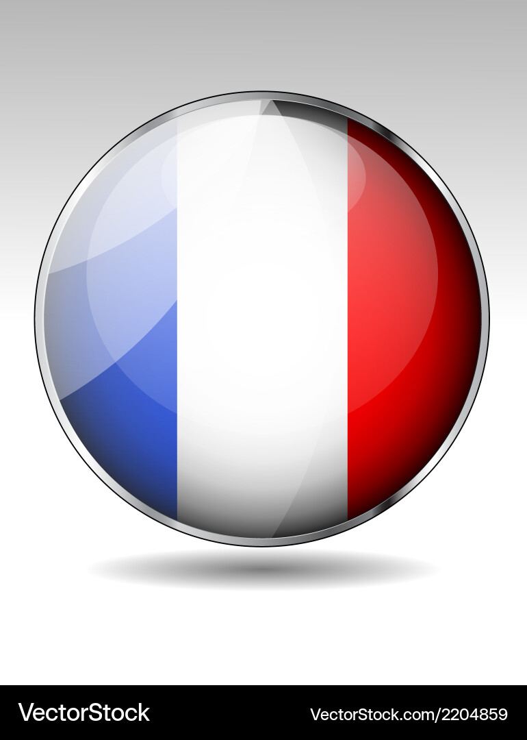 Flag button design elements vector image