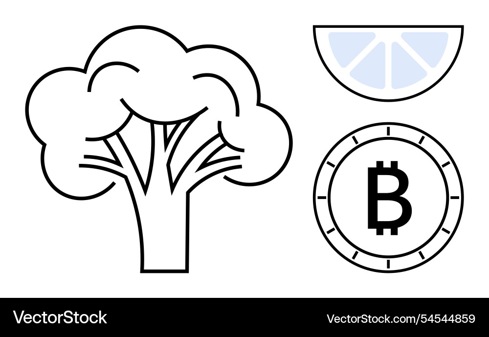 Tree lemon slice and bitcoin symbol Tree lemon slice and bitcoin symbol vector image