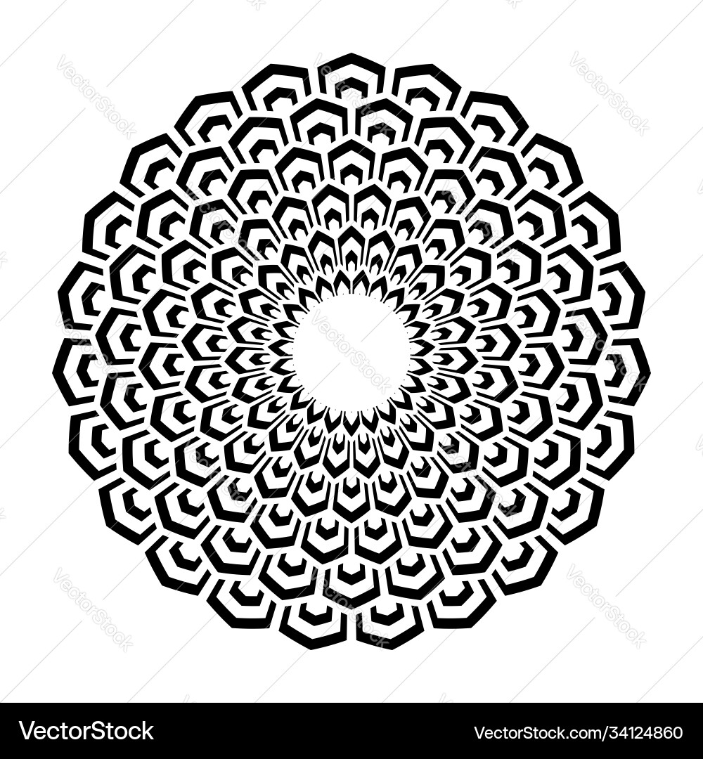 Circle design element Vector Image