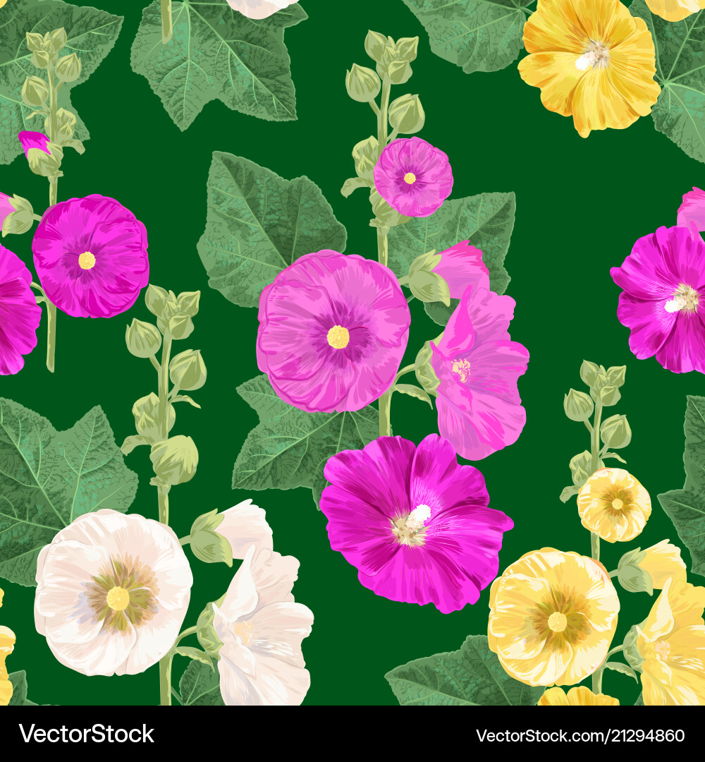 Malva Flower Seamless Pattern Vector Image