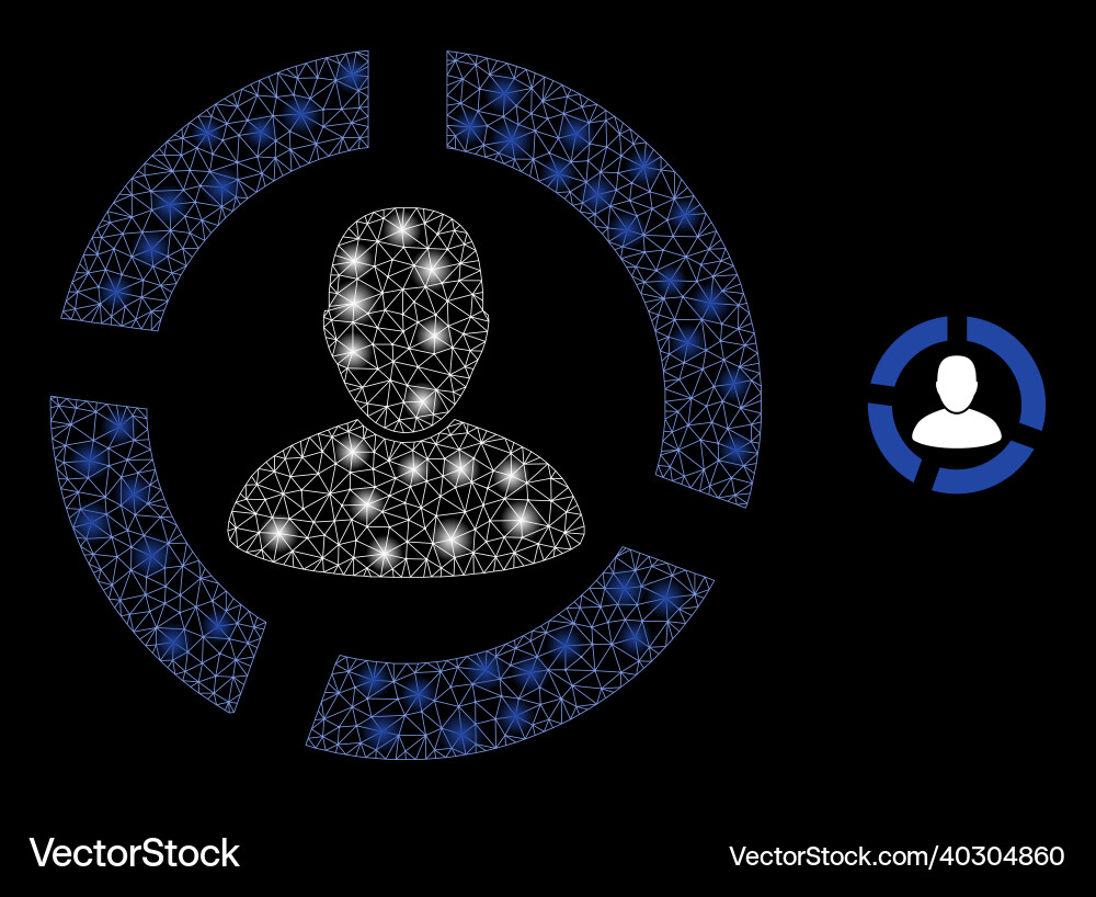 Mesh web user diagram with glitter network Mesh web user diagram with glitter network vector image