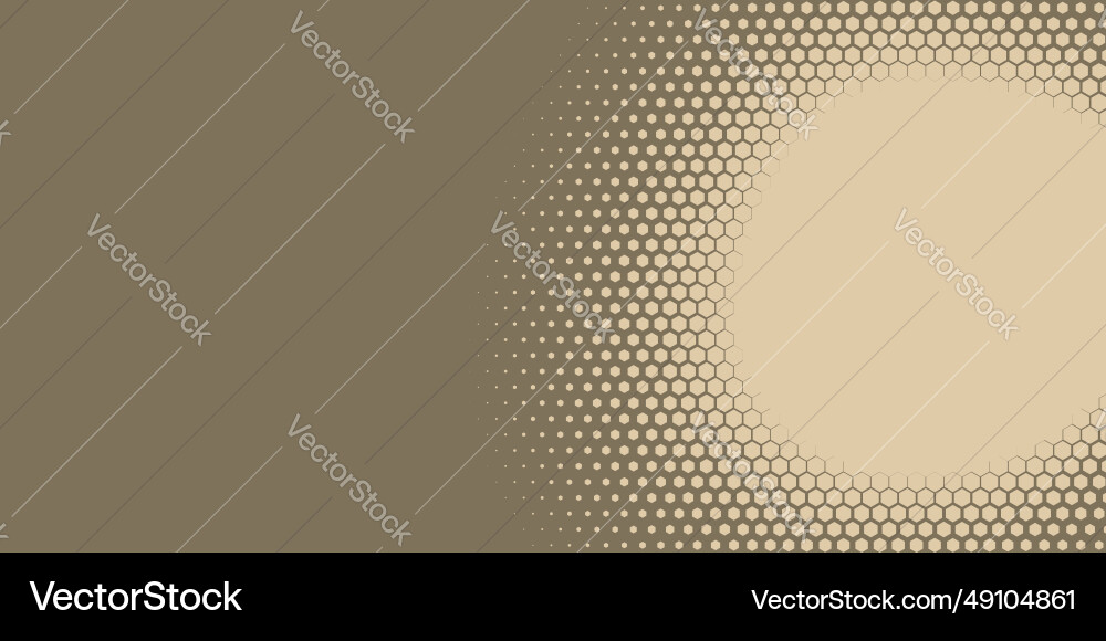 Geometric abstract hexagon two color background Vector Image