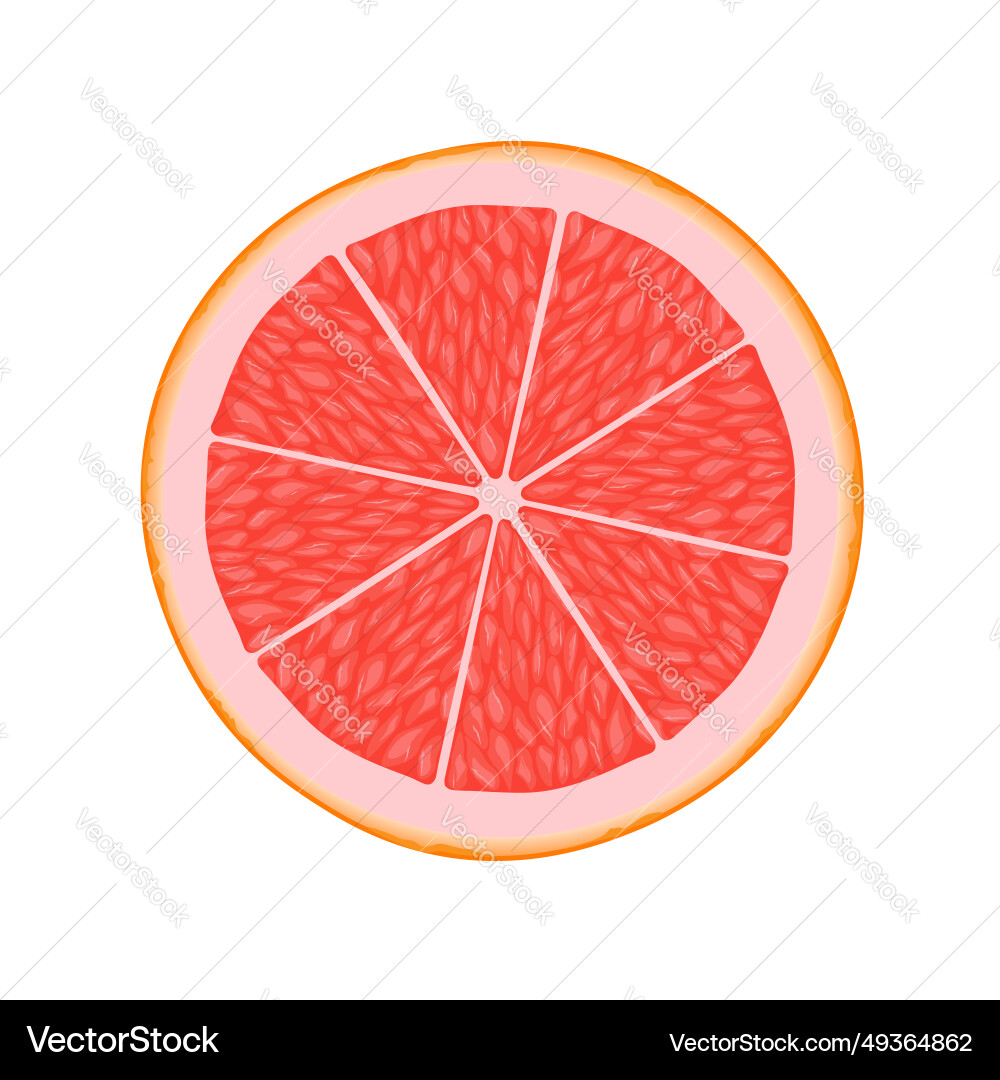 Grapefruit slice for web isolated on white Grapefruit slice for web isolated on white Vector Image