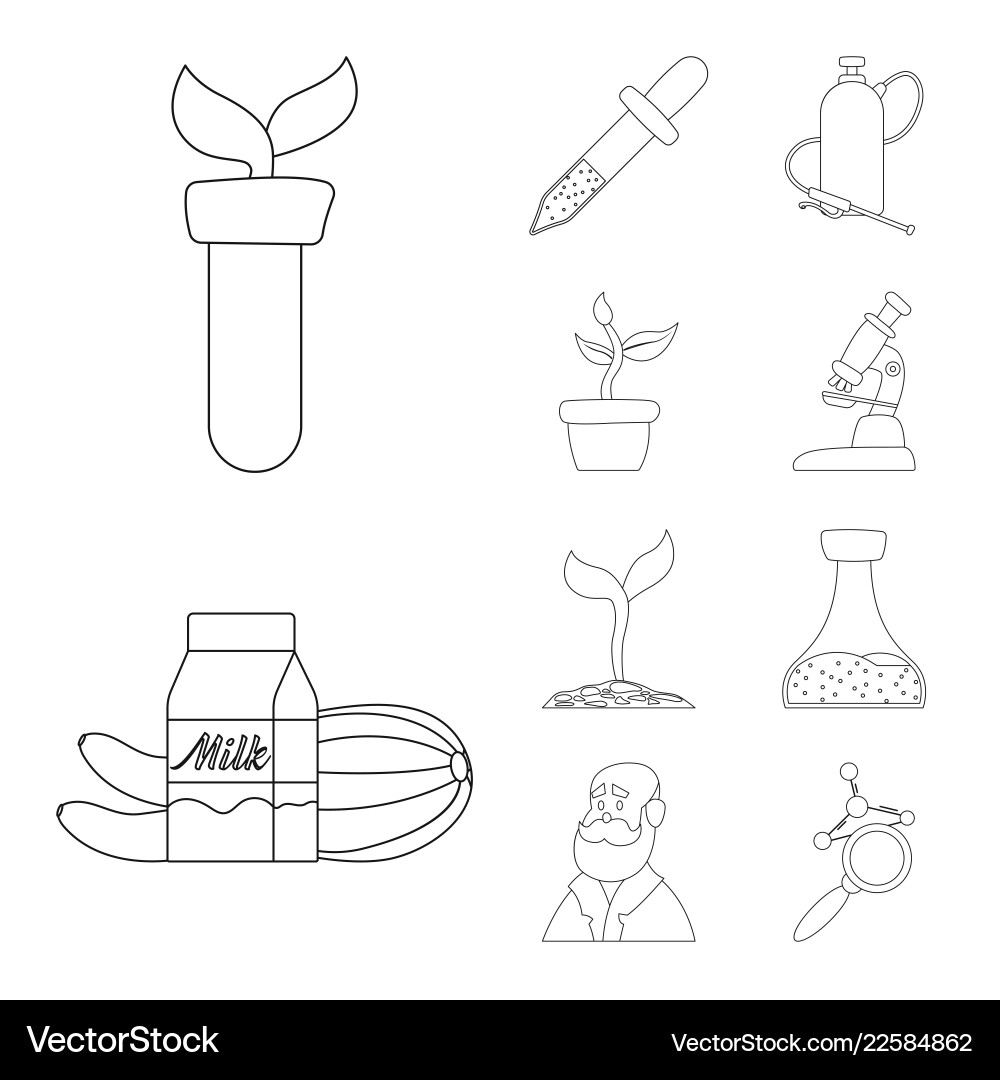 Isolated object of and icon set s Isolated object of and icon set s vector image