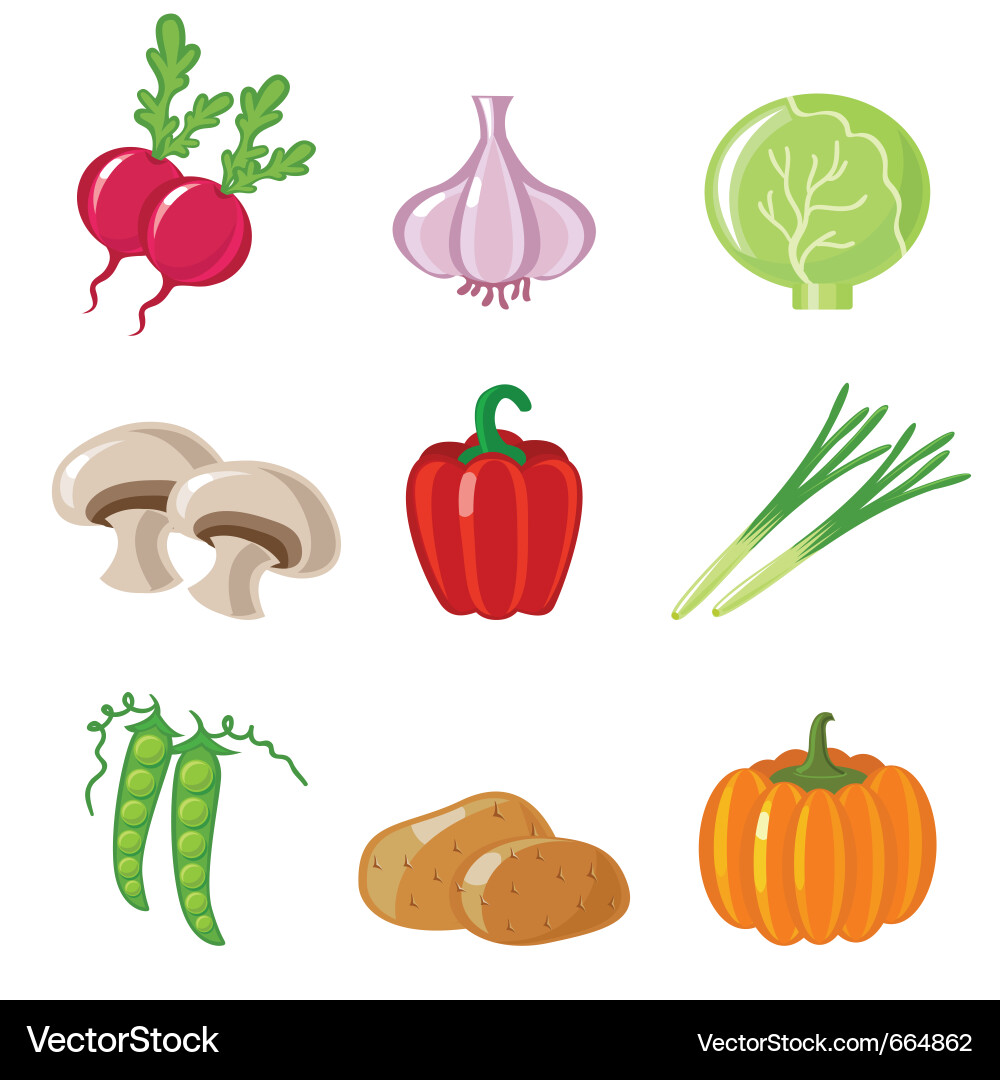 Vegetables Vector Image