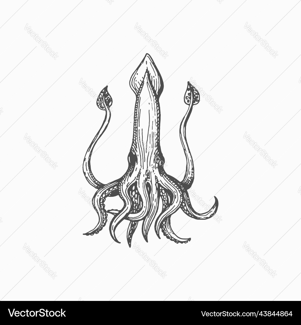 Calamari squid isolated marine animal mollusk icon vector image