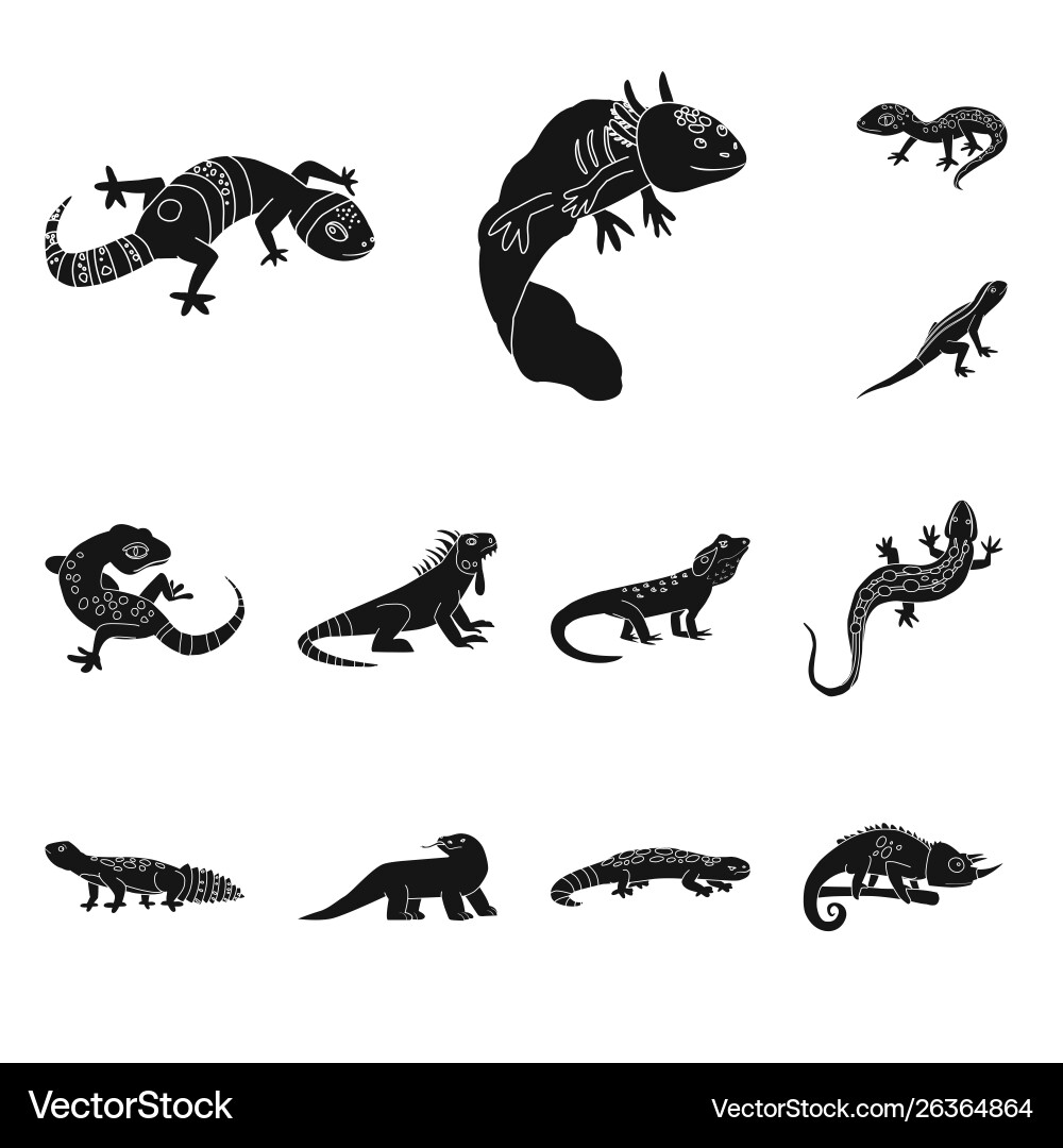Design zoo and environment icon set vector image