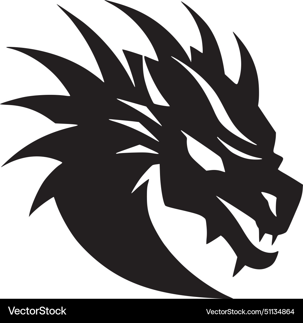 Dragon - hochwertiges Logo ideal für T-Shirt Dragon - hochwertiges Logo ideal für T-Shirt vektorbild