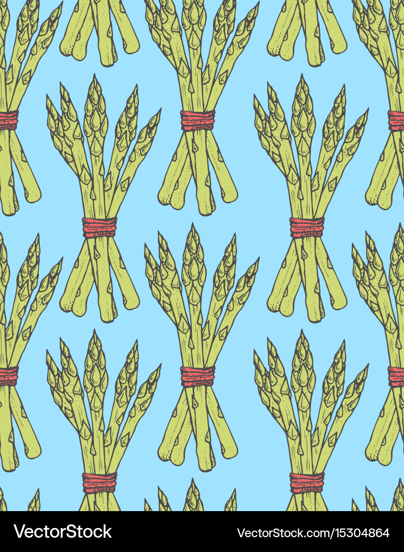 Seamless pattern with sketch style asparagus bunch vector image