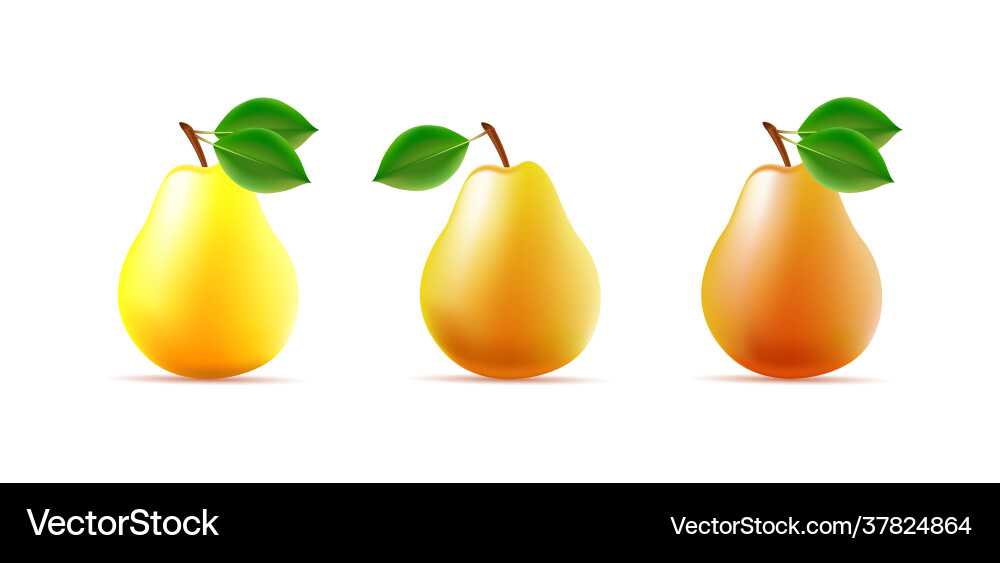 Set os 3d pear different color Vector Image