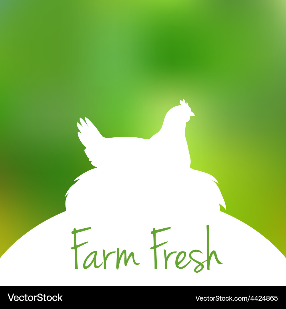 Hen in Nest with Blurred Text vector image