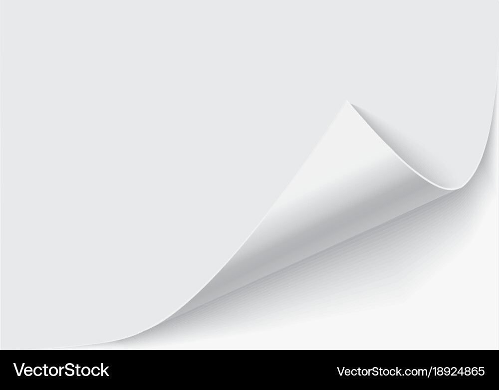 Page curl with shadow on a blank sheet of paper vector image