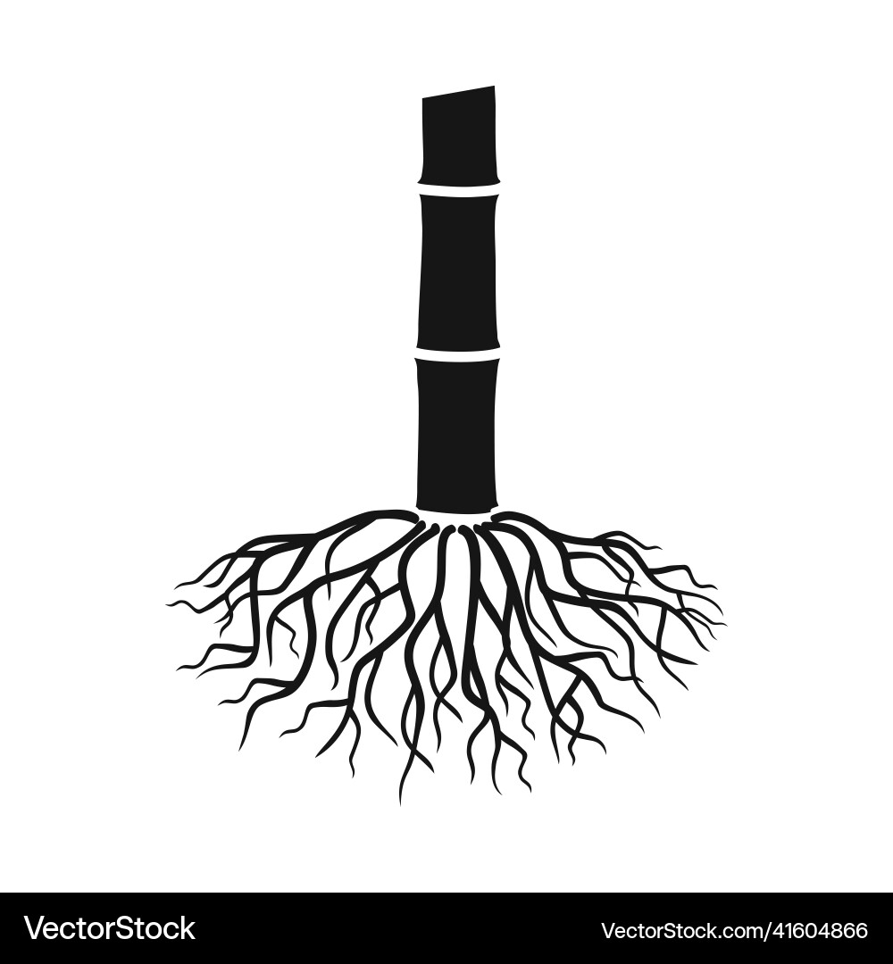 Design of root and sugar sign web element Vector Image