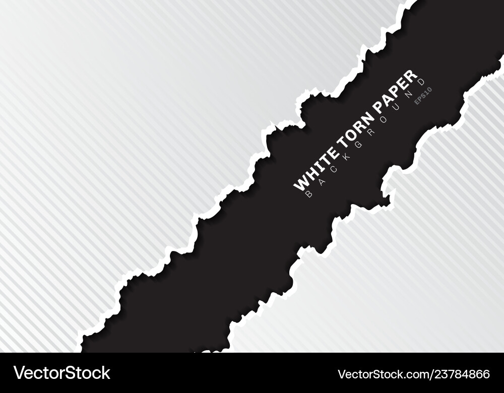 Torn White Paper Edge with Texture Vector Image