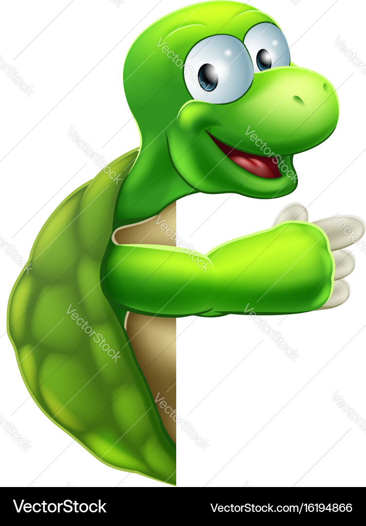 Tortoise or turtle pointing Vector Image