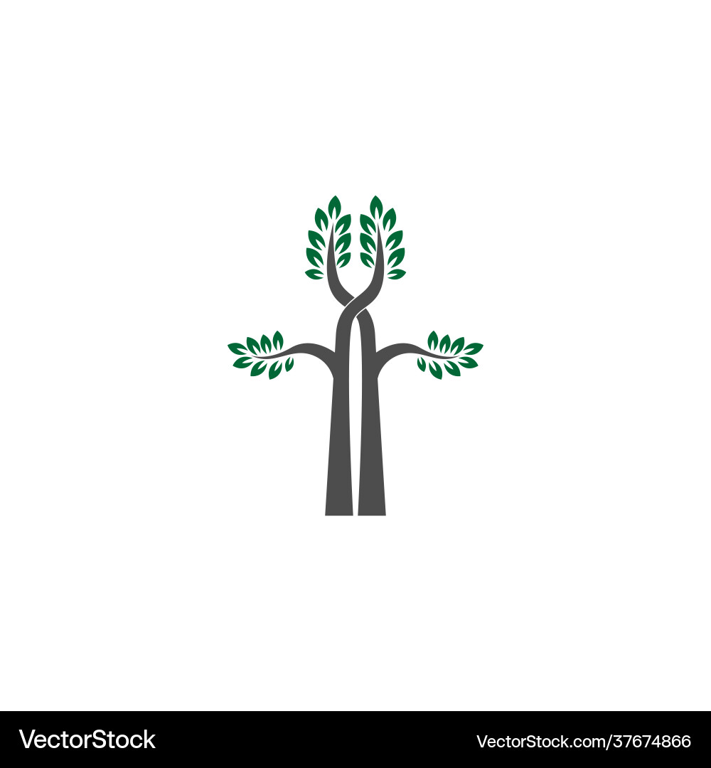 Tree icon branch design vector image