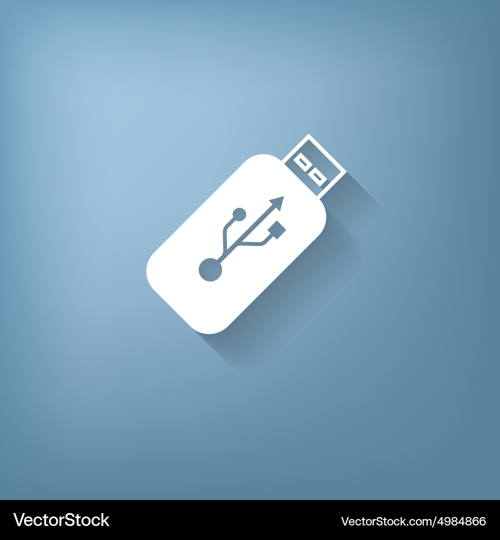 Usb flash icon disk Vector Image