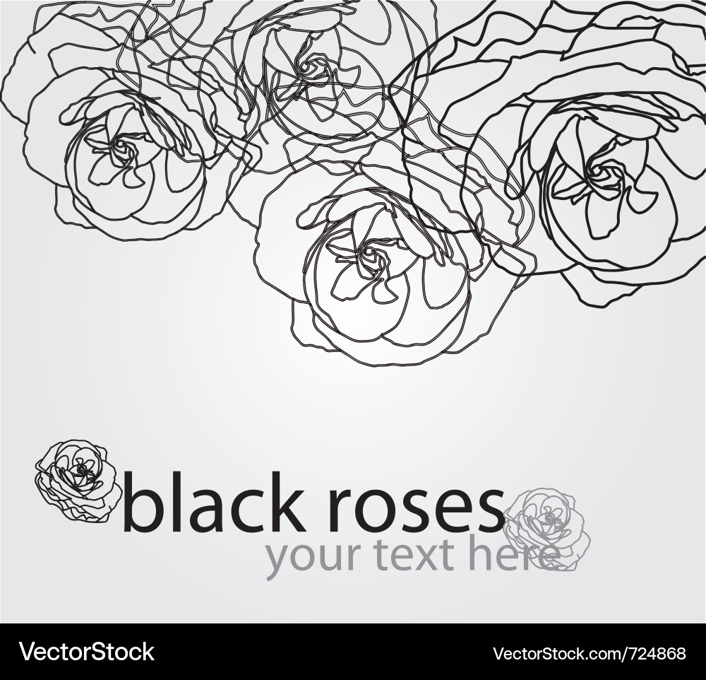 Elegant Floral Invitation vector image