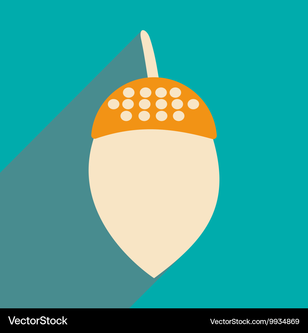 Flat with shadow icon and mobile application acorn vector image