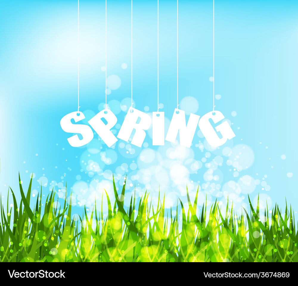 Spring word hanging on a strings background Vector Image