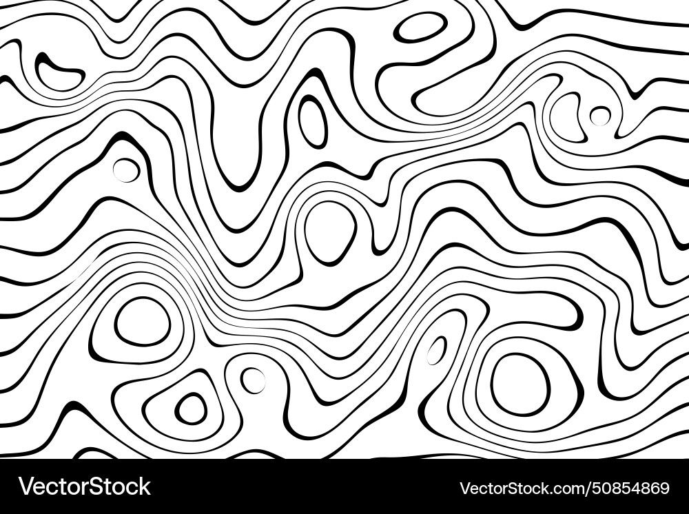 Texture with wavy lines on topographic map Vector Image