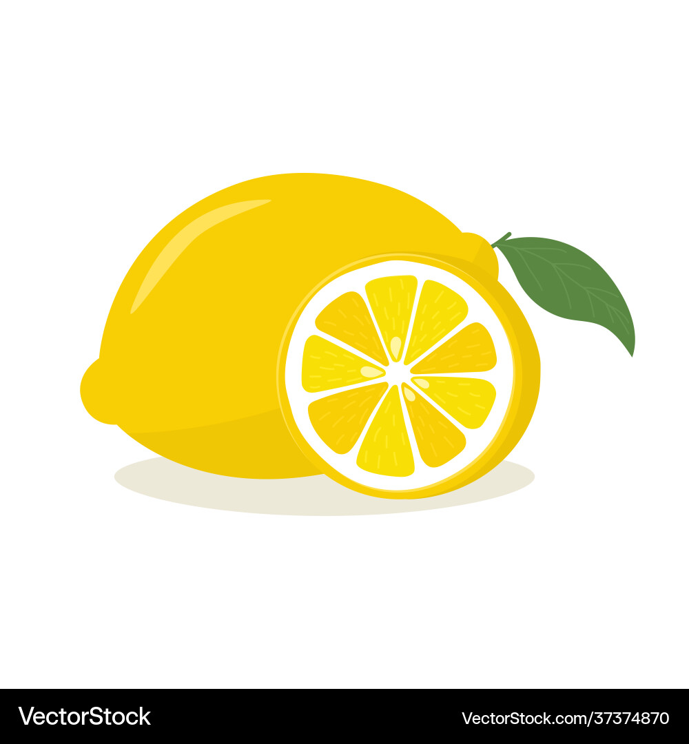 Gelbe Zitrone mit Blatt und Scheibe ist eine Frucht Vektorbild