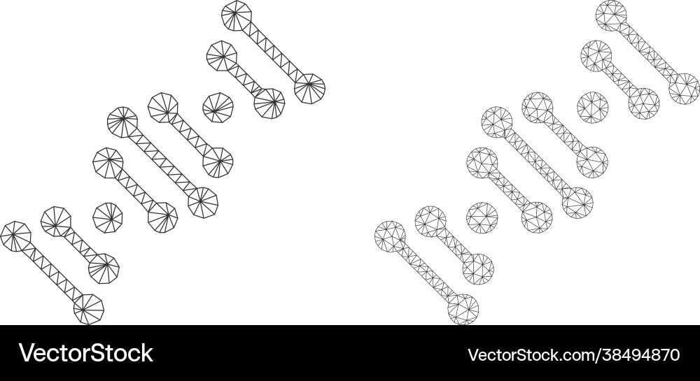 Genome code icons - triangular mesh Genome code icons - triangular mesh vector image